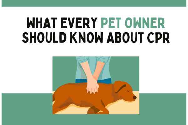 pet CPR